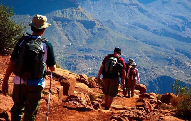 osteoporosis-hiking Exercise Guidelines for Patients With Osteoporosis| NVCPC.com