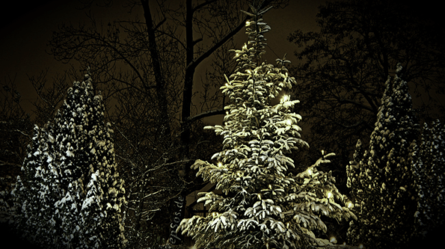 christmas_eve Stay Mindful On Christmas Eve | NVCPC.com