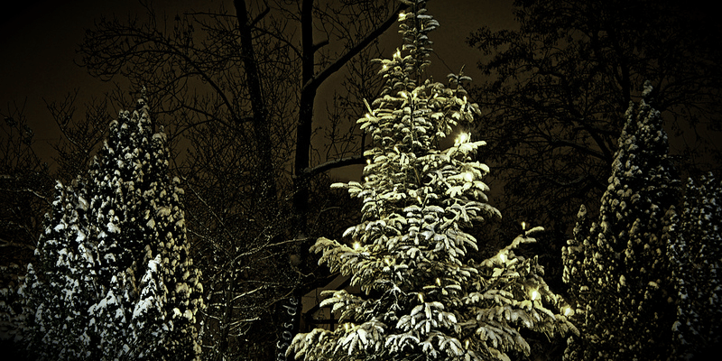 christmas_eve Stay Mindful On Christmas Eve | NVCPC.com