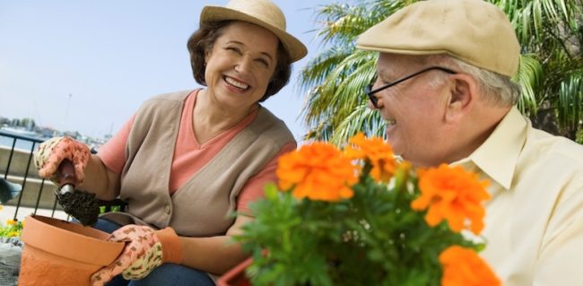 burn-calories 4 Daily Activities That Burn Calories | NVCPC.com